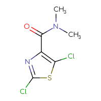 Chemical structure of 2,5-dichloro-N,N-dimethyl-1,3-thiazole-4-carboxamide - CSSB00114253687