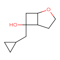 C10H16O2
