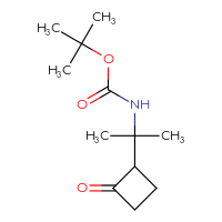 C12H21NO3