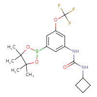 Chemical structure of 3-cyclobutyl-1-[3-(4,4,5,5-tetramethyl-1,3,2-dioxaborolan-2-yl)-5-(trifluoromethoxy)phenyl]urea - CSSB21332092100
