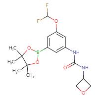 Chemical structure of 1-[3-(difluoromethoxy)-5-(4,4,5,5-tetramethyl-1,3,2-dioxaborolan-2-yl)phenyl]-3-(oxetan-3-yl)urea - CSSB21332112897