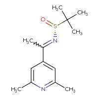 Chemical structure of (R)-N-[1-(2,6-dimethylpyridin-4-yl)ethylidene]-2-methylpropane-2-sulfinamide - CSSB21332841349
