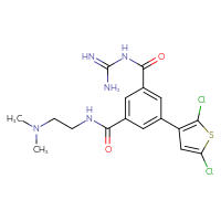 Chemical structure of N1-carbamimidoyl-5-(2,5-dichlorothiophen-3-yl)-N3-[2-(dimethylamino)ethyl]benzene-1,3-dicarboxamide - CSSB00134614862