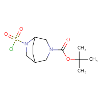Chemical structure of tert-butyl 6-(chlorosulfonyl)-3,6-diazabicyclo[3.2.2]nonane-3-carboxylate - CSSB06750962500
