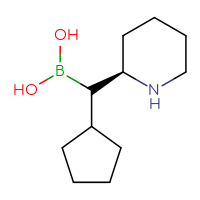C11H22BNO2