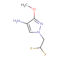 Chemical structure of 1-(2,2-difluoroethyl)-3-methoxy-1H-pyrazol-4-amine - CSSB00000089968