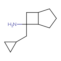 C11H19N