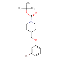 Chemical structure of tert-butyl 4-[(3-bromophenoxy)methyl]piperidine-1-carboxylate - CSSB00010062398