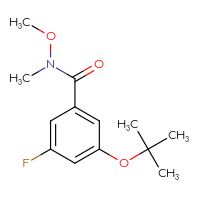 Chemical structure of 3-(tert-butoxy)-5-fluoro-N-methoxy-N-methylbenzamide - CSSB15046471944