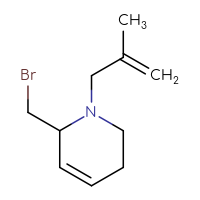 C10H16BrN