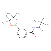 Chemical structure of N-(3,3-dimethylbutan-2-yl)-3-(4,4,5,5-tetramethyl-1,3,2-dioxaborolan-2-yl)benzamide - CSSB02195989440