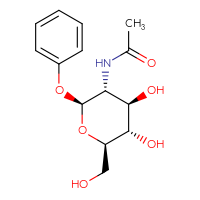 Chemical structure of N-[(2S,3R,4R,5S,6R)-4,5-dihydroxy-6-(hydroxymethyl)-2-phenoxyoxan-3-yl]acetamide - CSSS00000134700