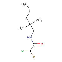 Chemical structure of 2-chloro-N-(2,2-dimethylpentyl)-2-fluoroacetamide - CSSB09889091819
