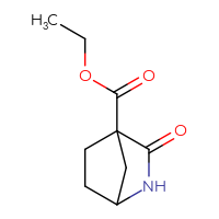 Chemical structure of ethyl 3-oxo-2-azabicyclo[2.2.1]heptane-4-carboxylate - CSSB14975976965