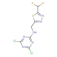 Chemical structure of 4,6-dichloro-N-{[5-(difluoromethyl)-1,3,4-thiadiazol-2-yl]methyl}-1,3,5-triazin-2-amine - CSSB21332118698