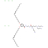 Chemical structure of (2S)-2-[(3-aminopropyl)amino]-5-[bis(3-aminopropyl)amino]-N-(2-{[3,4-bis(octadec-9-en-1-yloxy)phenyl]formamido}ethyl)pentanamide pentahydrochloride - CSSB20958670904