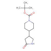 Chemical structure of tert-butyl 4-(5-oxopyrrolidin-3-yl)piperidine-1-carboxylate - CSSB00000702971