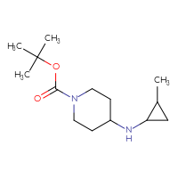 Chemical structure of tert-butyl 4-[(2-methylcyclopropyl)amino]piperidine-1-carboxylate - CSSB00011669260