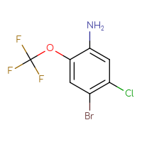 C7H4BrClF3NO
