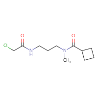 Chemical structure of 2-chloro-N-[3-(1-cyclobutyl-N-methylformamido)propyl]acetamide - CSSB21332048219