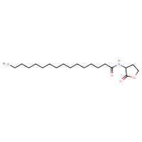 Chemical structure of N-(2-oxooxolan-3-yl)hexadecanamide - CSSB00159430038