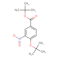 Chemical structure of tert-butyl 4-(tert-butoxy)-3-nitrobenzoate - CSSB00025711904