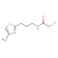 Chemical structure of 2-chloro-N-[3-(4-methyl-1,3-thiazol-2-yl)propyl]acetamide - CSSB01991486068