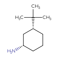 C10H21N