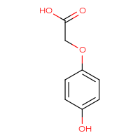 Chemical structure of 2-(4-hydroxyphenoxy)acetic acid - CSSB00000031633