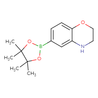 Chemical structure of 6-(4,4,5,5-tetramethyl-1,3,2-dioxaborolan-2-yl)-3,4-dihydro-2H-1,4-benzoxazine - CSSB00010128620