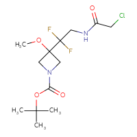 Chemical structure of tert-butyl 3-[2-(2-chloroacetamido)-1,1-difluoroethyl]-3-methoxyazetidine-1-carboxylate - CSSB03554433689