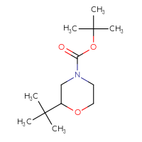 Chemical structure of tert-butyl 2-tert-butylmorpholine-4-carboxylate - CSSB00025214808