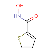 Chemical structure of N-hydroxythiophene-2-carboxamide - CSSB00000183811