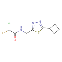 Chemical structure of 2-chloro-N-[(5-cyclobutyl-1,3,4-thiadiazol-2-yl)methyl]-2-fluoroacetamide - CSSB21332121546