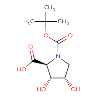 C10H17NO6