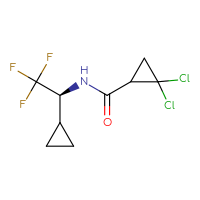C9H10Cl2F3NO
