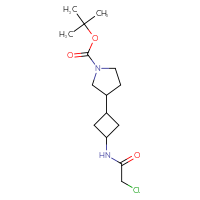 Chemical structure of tert-butyl 3-[3-(2-chloroacetamido)cyclobutyl]pyrrolidine-1-carboxylate - CSSB02516686639