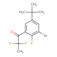 Chemical structure of 1-(3-bromo-5-tert-butyl-2-fluorophenyl)-2,2-difluoropropan-1-one - CSSB21103687551