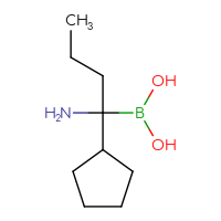 C9H20BNO2