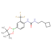 Chemical structure of 3-(2-cyclobutylethyl)-1-[4-(4,4,5,5-tetramethyl-1,3,2-dioxaborolan-2-yl)-2-(trifluoromethyl)phenyl]urea - CSSB21332137916