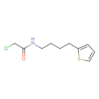 Chemical structure of 2-chloro-N-[4-(thiophen-2-yl)butyl]acetamide - CSSB21332095840