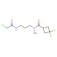 Chemical structure of 2-chloro-N-{3-[1-(3,3-difluorocyclobutyl)-N-methylformamido]propyl}acetamide - CSSB21332069667