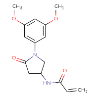 Chemical structure of N-[1-(3,5-dimethoxyphenyl)-5-oxopyrrolidin-3-yl]prop-2-enamide - CSSB21332038904
