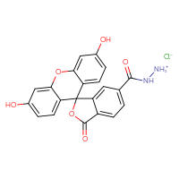 Chemical structure of ({3',6'-dihydroxy-3-oxo-3H-spiro[2-benzofuran-1,9'-xanthen]-6-yl}formamido)azanium chloride - CSSB03436546736