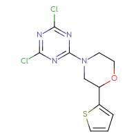 Chemical structure of 2,4-dichloro-6-[2-(thiophen-2-yl)morpholin-4-yl]-1,3,5-triazine - CSSB02214521079