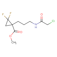 Chemical structure of methyl 1-[3-(2-chloroacetamido)propyl]-2,2-difluorocyclopropane-1-carboxylate - CSSB01960376356