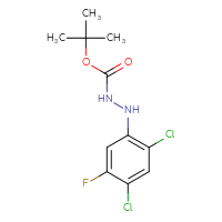 Chemical structure of N'-(2,4-dichloro-5-fluorophenyl)(tert-butoxy)carbohydrazide - CSSB21331811568