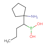C9H20BNO2