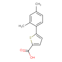 Chemical structure of 5-(2,4-dimethylphenyl)thiophene-2-carboxylic acid - CSSB00011246610