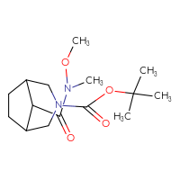 Chemical structure of tert-butyl 8-[methoxy(methyl)carbamoyl]-3-azabicyclo[3.2.1]octane-3-carboxylate - CSSB02128829403